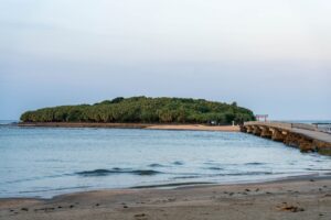 宮崎県宮崎市にある青島神社の画像