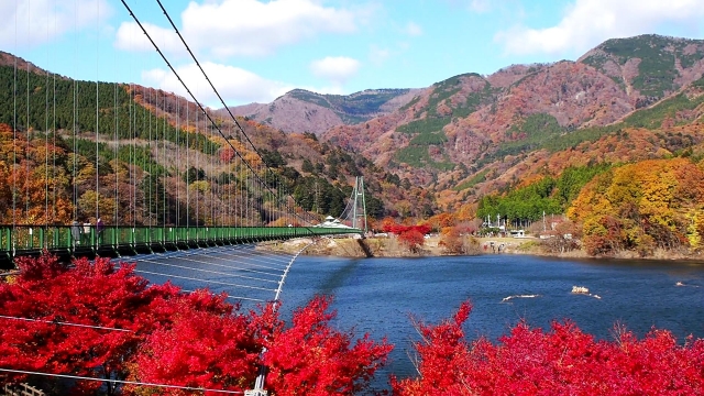 栃木県那須塩原の紅葉・もみじ谷大吊橋の画像